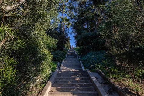 mattachine steps|Ask Silver Lake — The Mattachine Steps and… the Julian Eltinge。